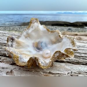 Decorated Oyster and Sea Shells, with glitter and lustrous fresh water Pearls.